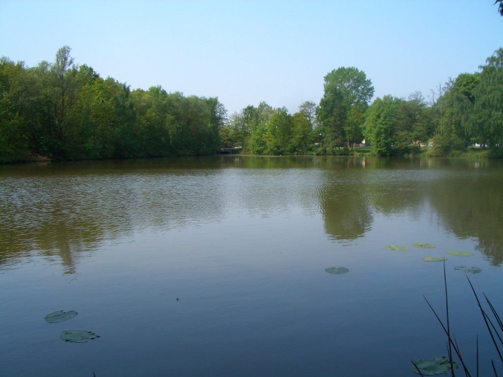 Osterholzer See 1