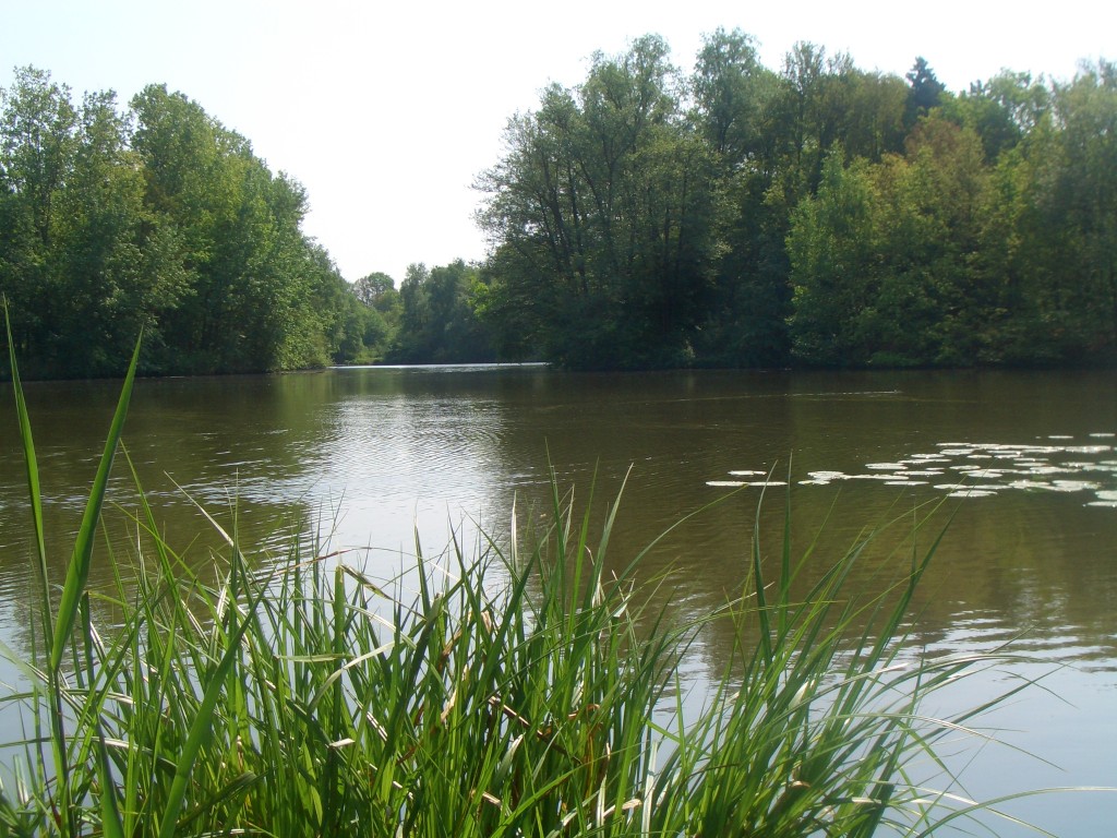 Von der Nordseite in Blick Richtung Südost auf den gesamten See